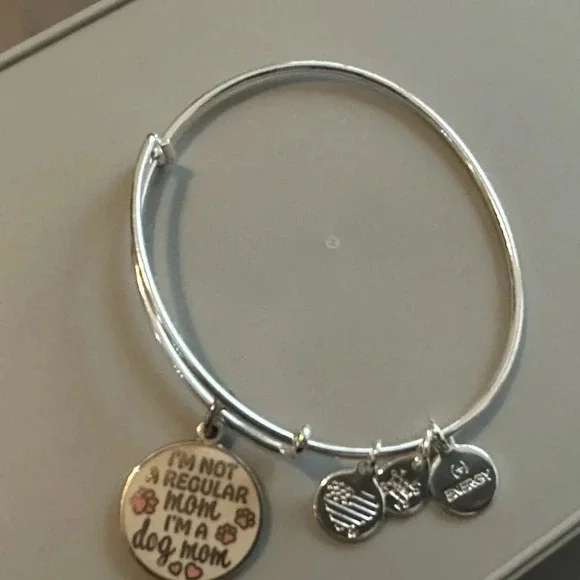 Alex and Ani bracelet “I’m not a regular mom, I’m a dog mom” silver tone EUC - Picture 1 of 4